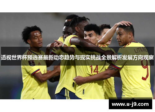 透视世界杯预选赛最新动态趋势与现实挑战全景解析发展方向观察