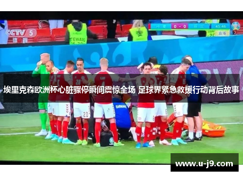 埃里克森欧洲杯心脏骤停瞬间震惊全场 足球界紧急救援行动背后故事