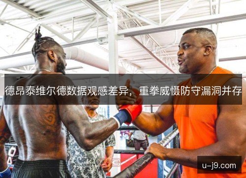 德昂泰维尔德数据观感差异，重拳威慑防守漏洞并存